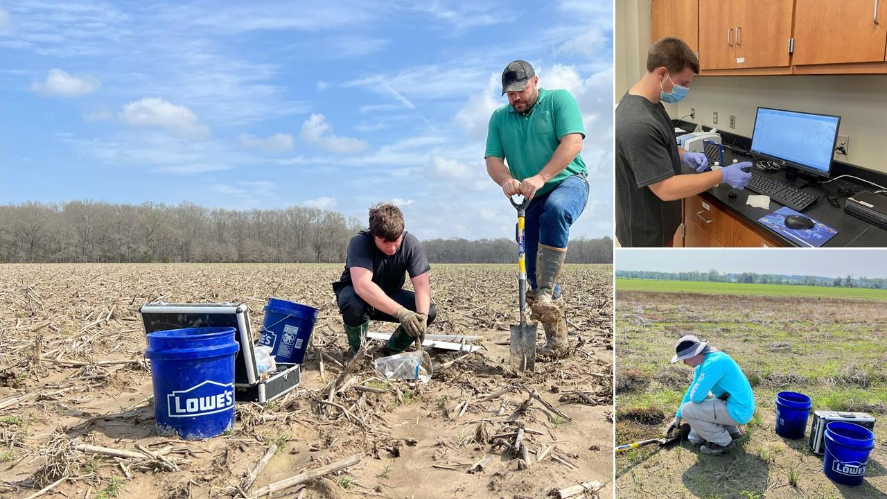 Soil testing