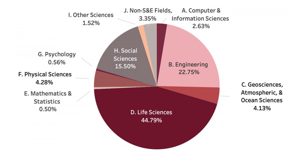 FY19 R&amp;D Expenditures by NSF Discipline